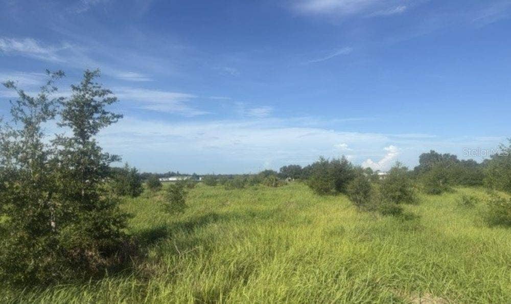 WALTER HUNTER ROAD, #Lot 1, Lithia, FL 33547
