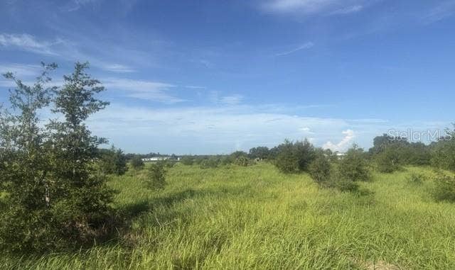 WALTER HUNTER ROAD, #Lot 1, Lithia, FL 33547