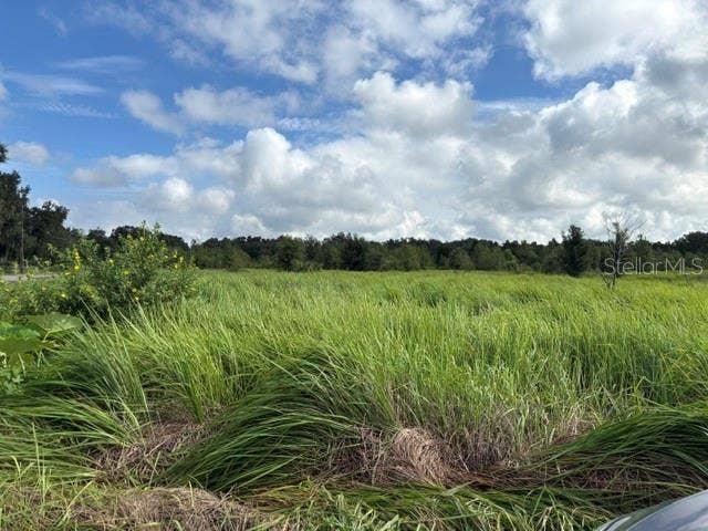 Property photo for WALTER HUNTER ROAD, #Lot 1, Lithia, FL