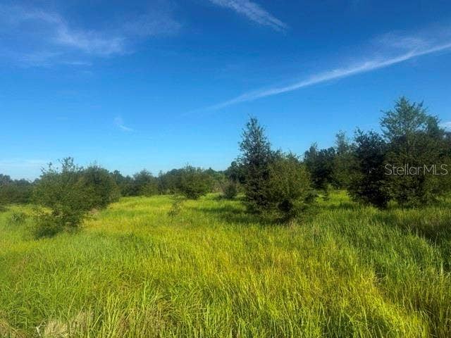 WALTER HUNTER ROAD, #Lot 1, Lithia, FL 33547