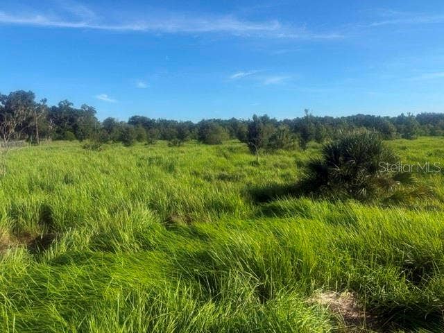 WALTER HUNTER ROAD, #Lot 1, Lithia, FL 33547