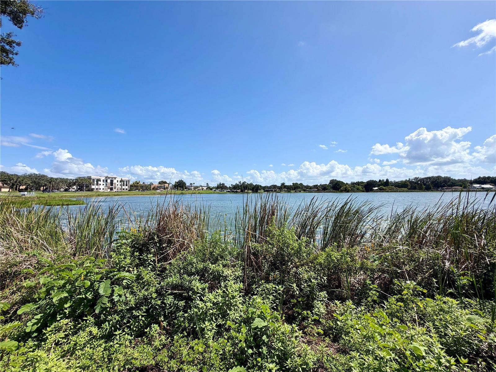2035 SHAKESPEARE STREET, Lakeland, FL 33801