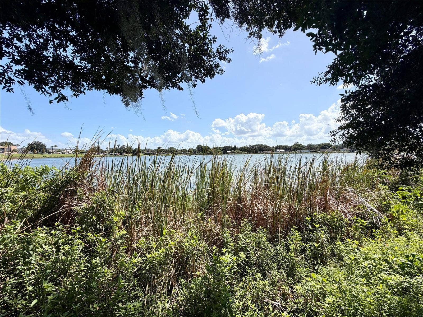 2035 SHAKESPEARE STREET, Lakeland, FL 33801
