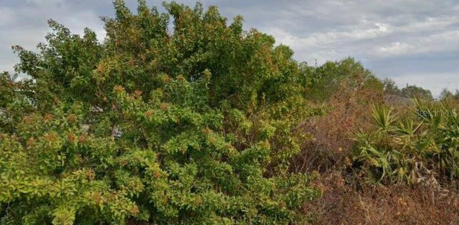 Property photo for 6010 ELAINE AVENUE N, Lehigh Acres, FL
