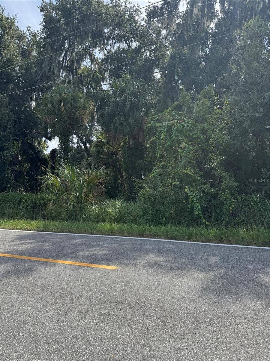 Property photo for 0 MEDULLA ROAD, Lakeland, FL