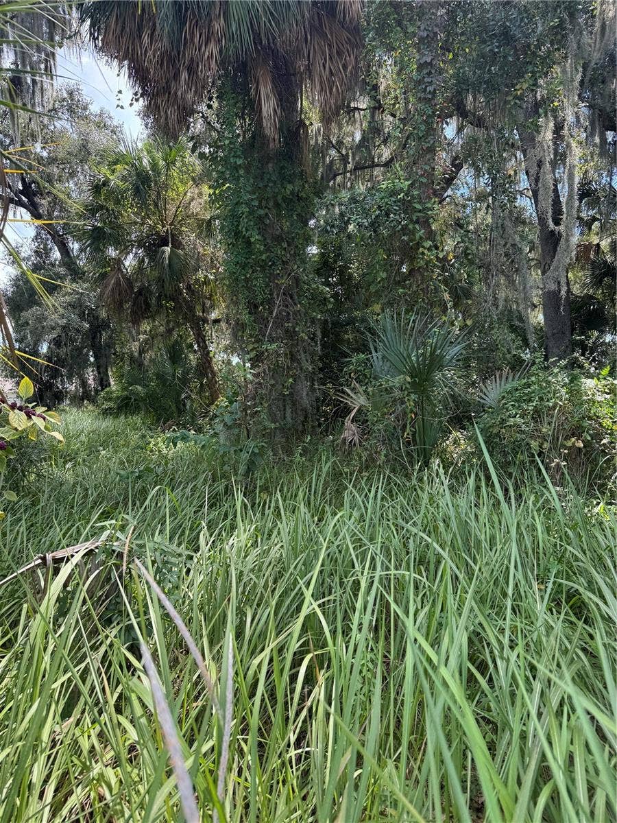 0 MEDULLA ROAD, Lakeland, FL 33811 0 MEDULLA ROAD, Lakeland, FL 33811