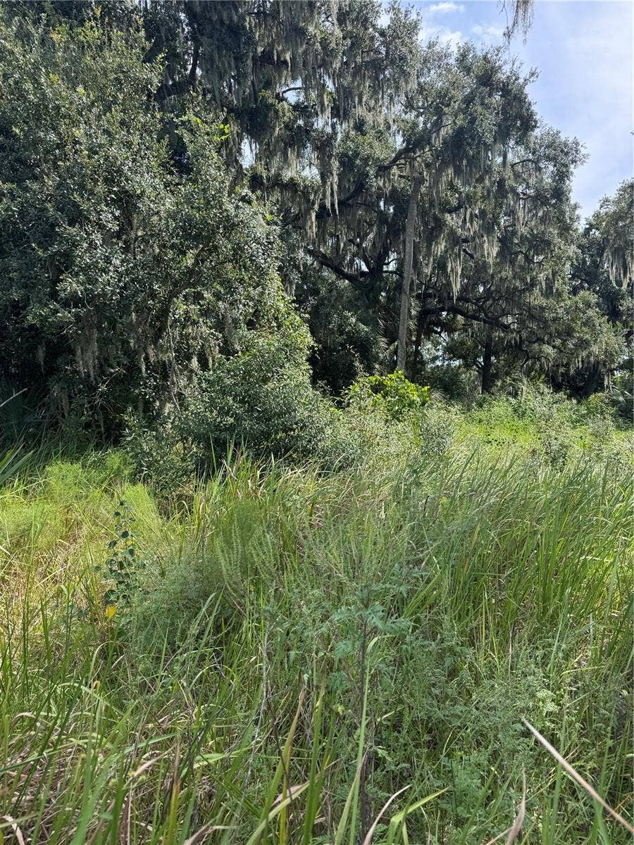 0 MEDULLA ROAD, Lakeland, FL 33811 0 MEDULLA ROAD, Lakeland, FL 33811
