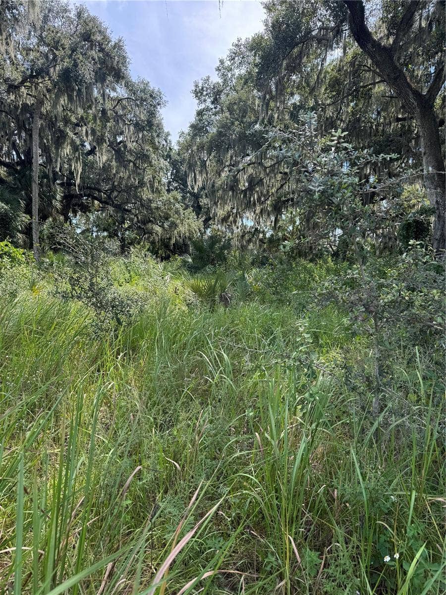 0 MEDULLA ROAD, Lakeland, FL 33811 0 MEDULLA ROAD, Lakeland, FL 33811