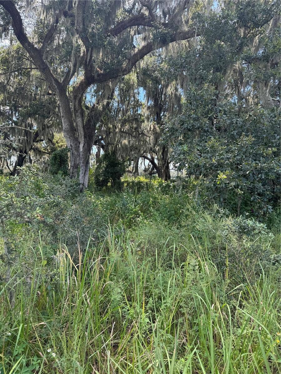 0 MEDULLA ROAD, Lakeland, FL 33811 0 MEDULLA ROAD, Lakeland, FL 33811