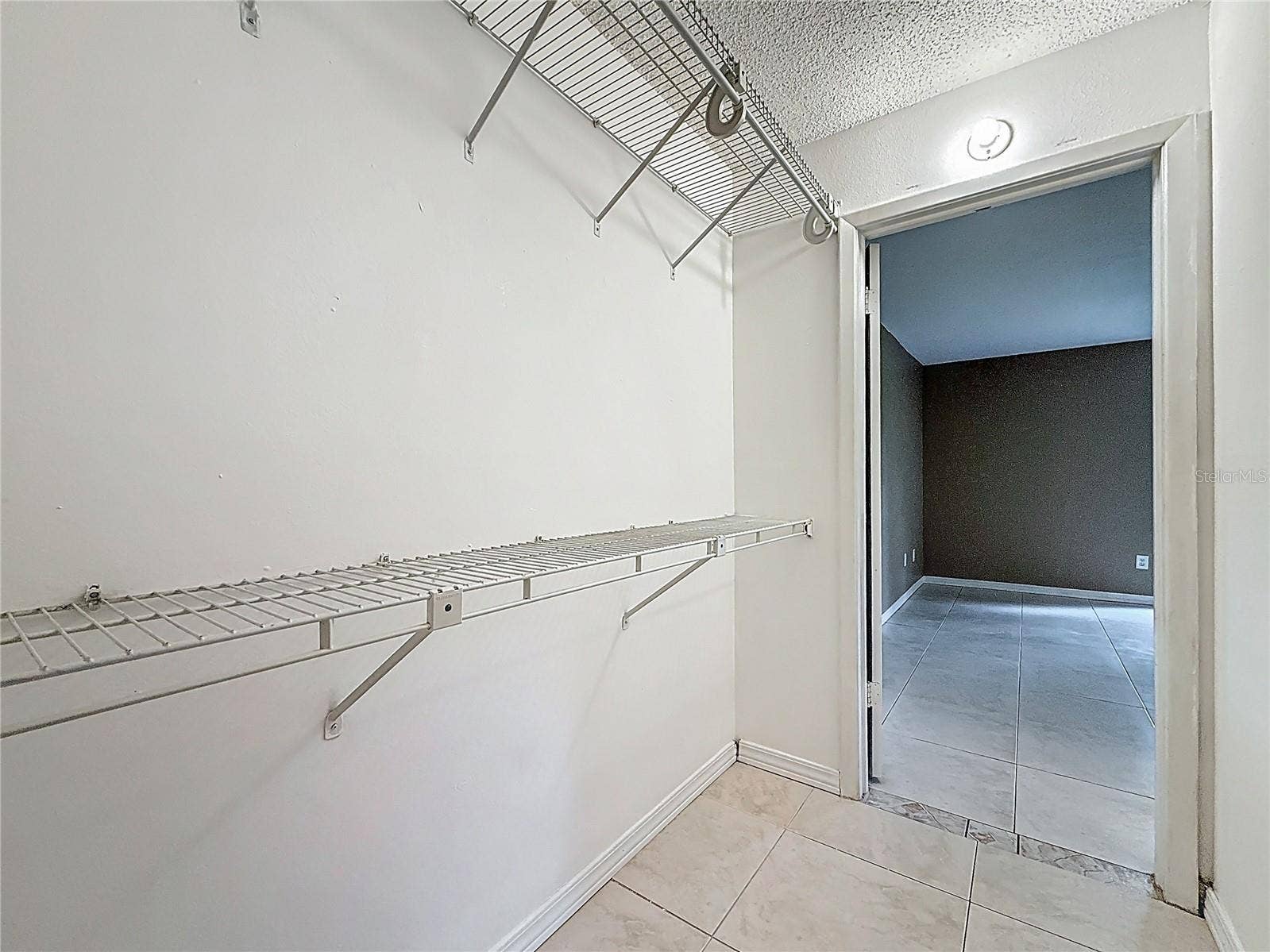 4022 TUMBLE WOOD TRAIL, #101, Tampa, FL 33613 Primary Walk-in Closet