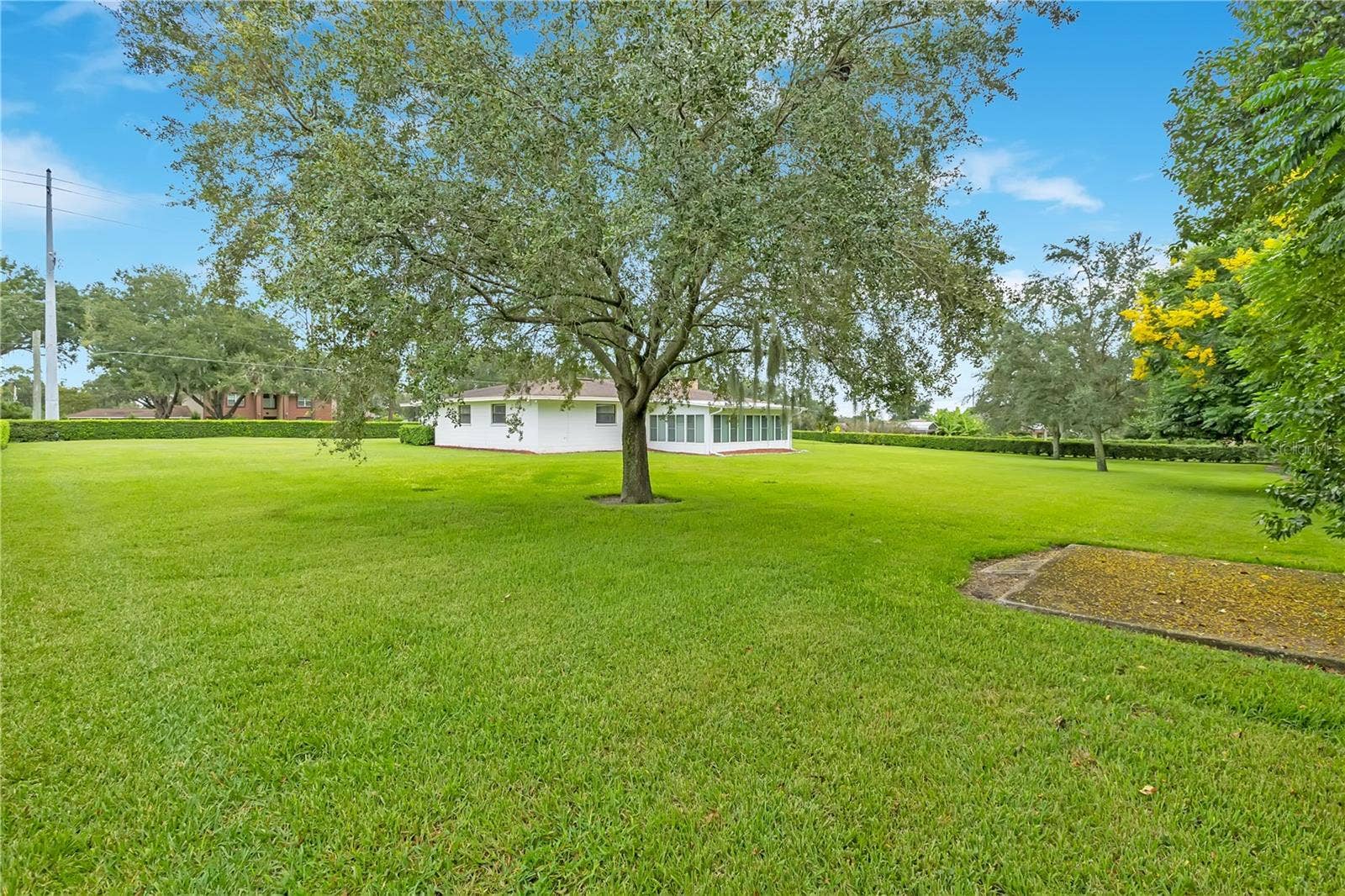 Landscaped Lot