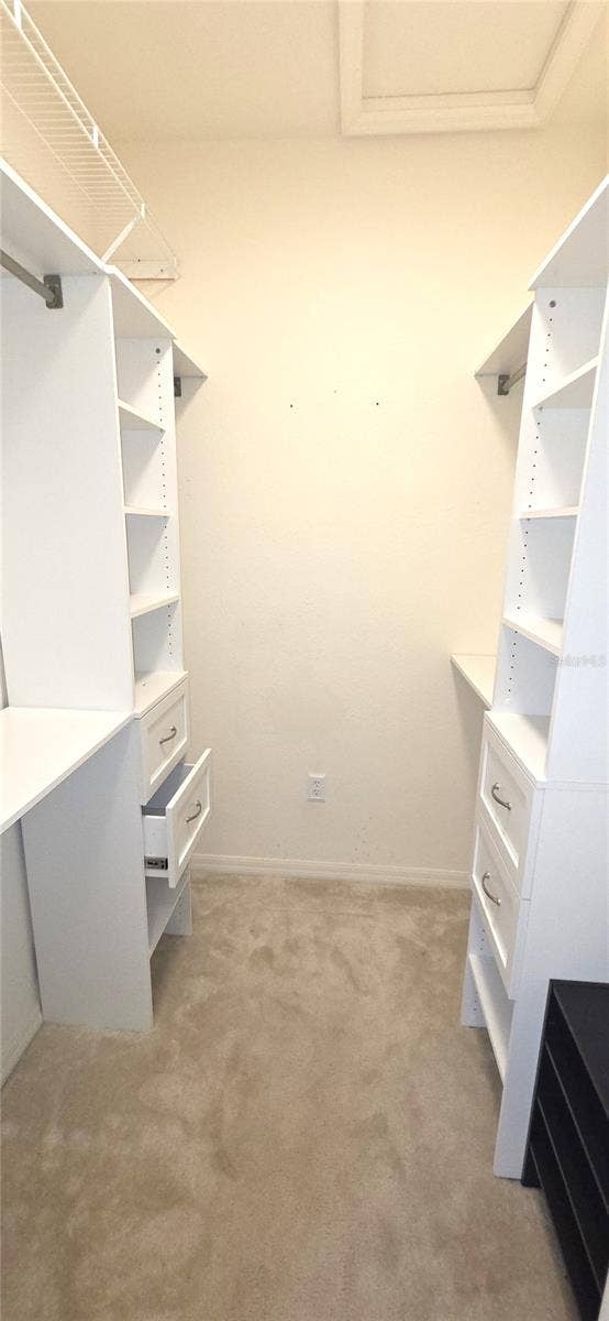 Primary Bedroom Walk-in Closet 2
