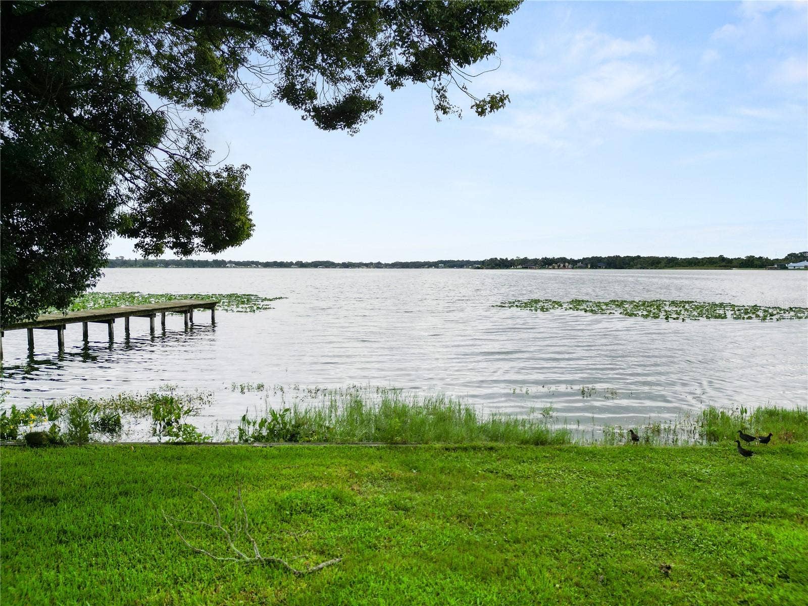 Lakeland, FL 33809