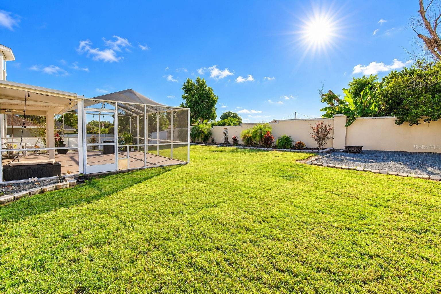 Backyard