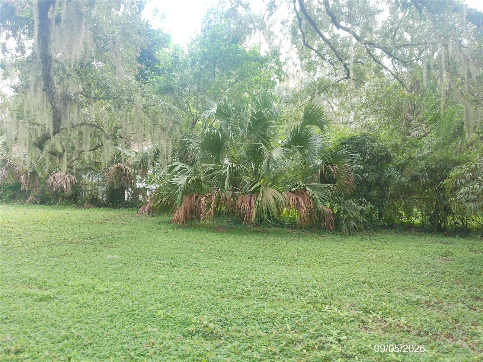 1423 CRYSTAL LAKE DRIVE, Lakeland, FL 33801 1423 CRYSTAL LAKE DRIVE, Lakeland, FL 33801