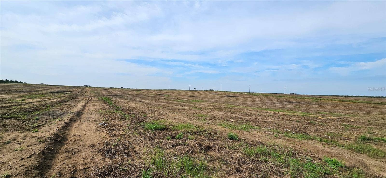 GOLDEN BOUGH ROAD, Lake Wales, FL 33898