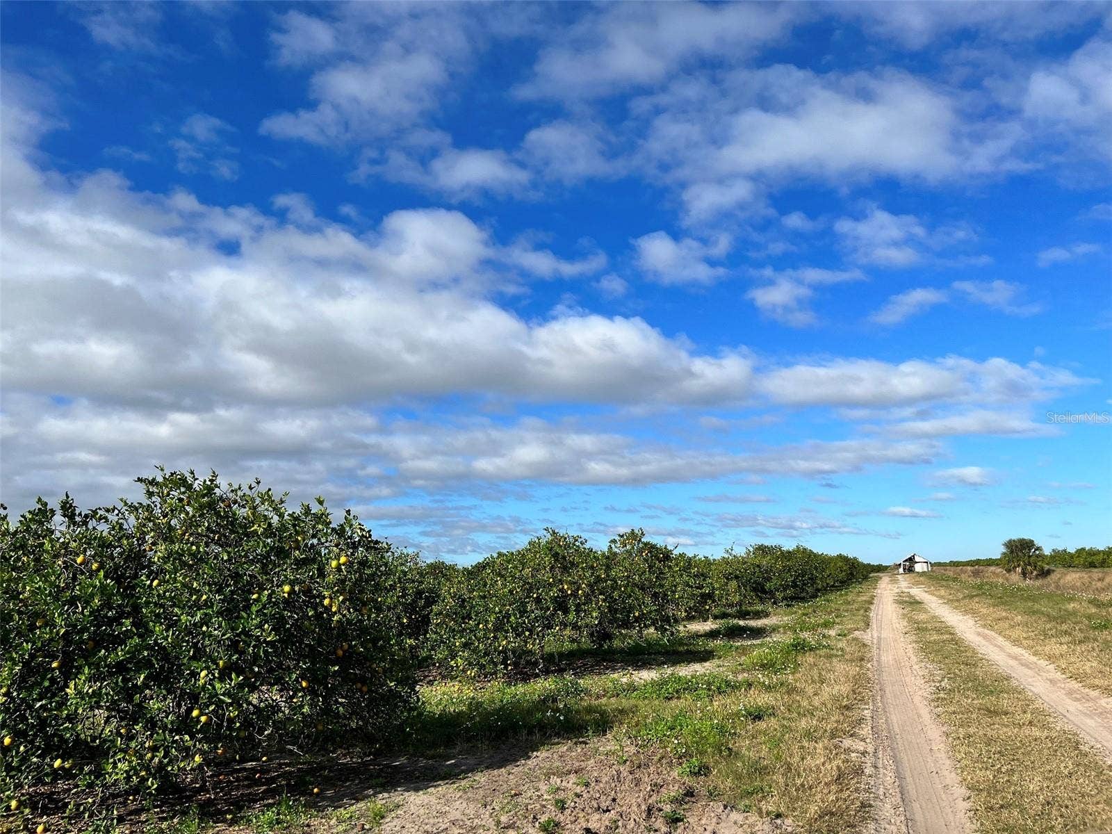 STATE RD 60, Okeechobee, FL 34972 STATE RD 60, Okeechobee, FL 34972