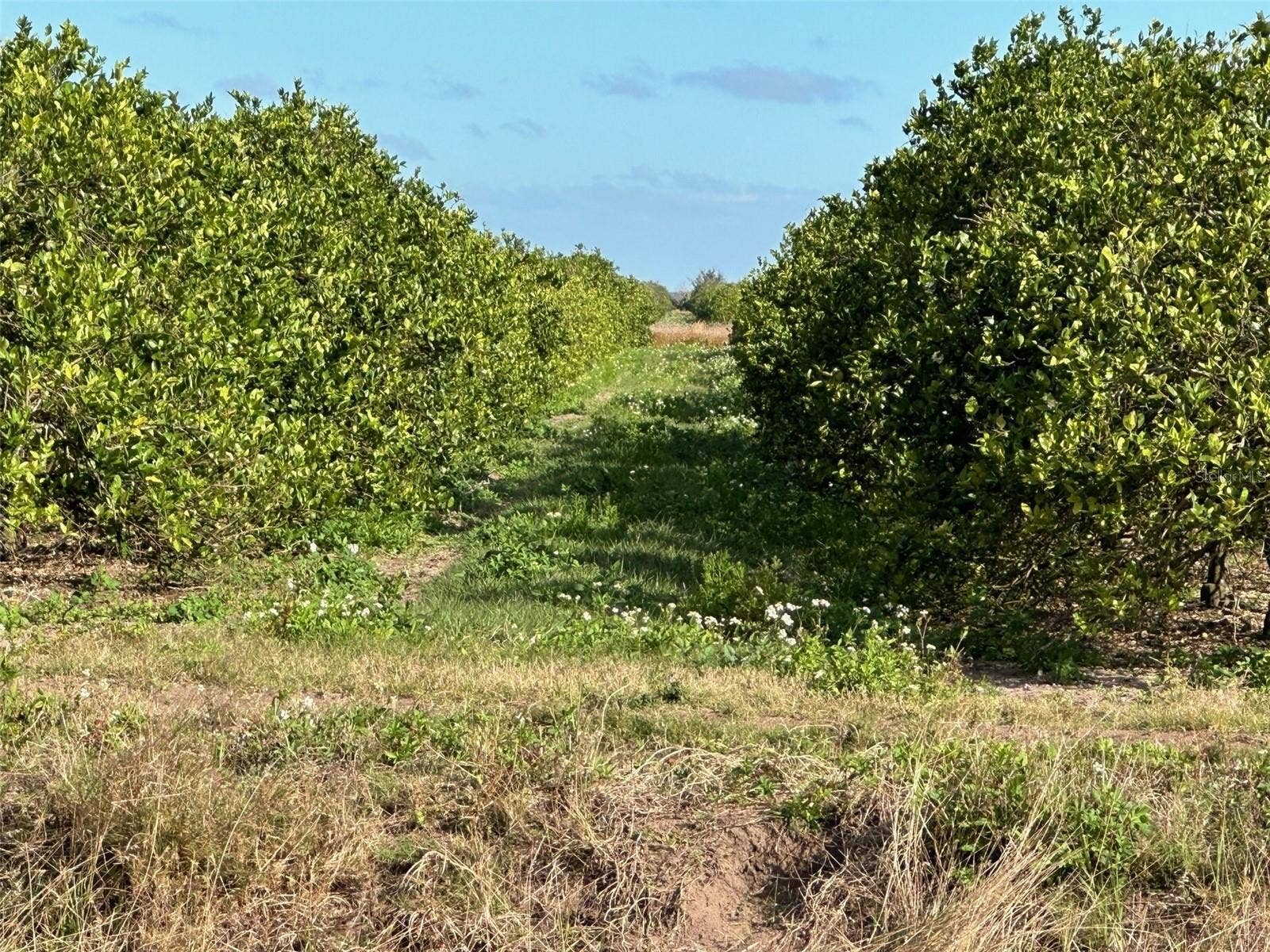 STATE RD 60, Okeechobee, FL 34972 STATE RD 60, Okeechobee, FL 34972