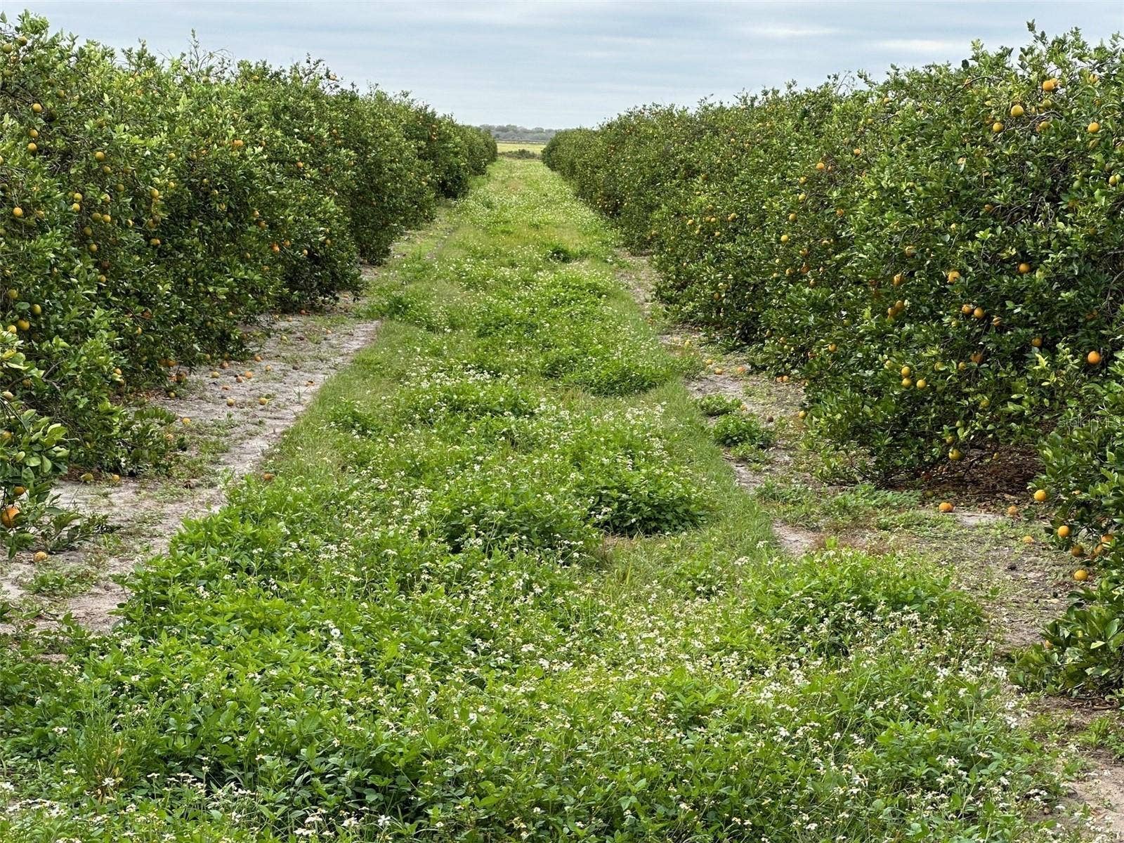 STATE RD 60, Okeechobee, FL 34972 STATE RD 60, Okeechobee, FL 34972