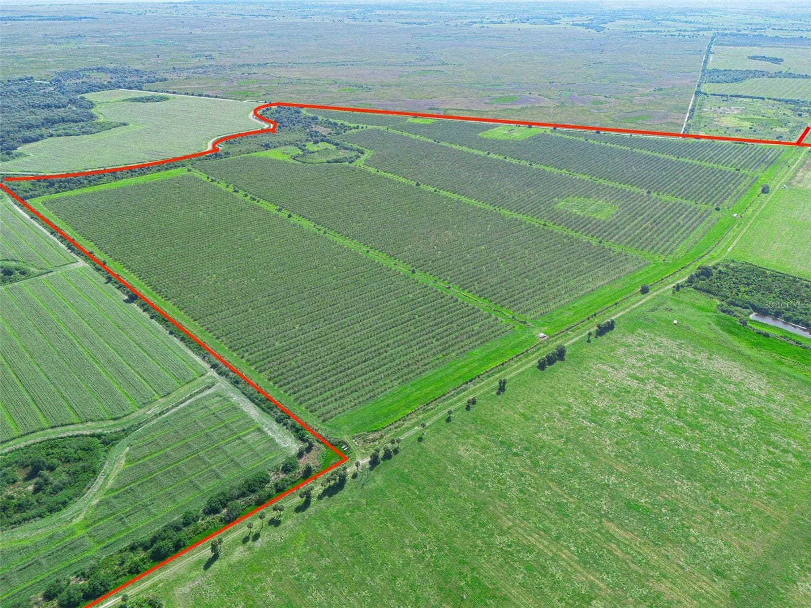 STATE RD 60, Okeechobee, FL 34972 STATE RD 60, Okeechobee, FL 34972
