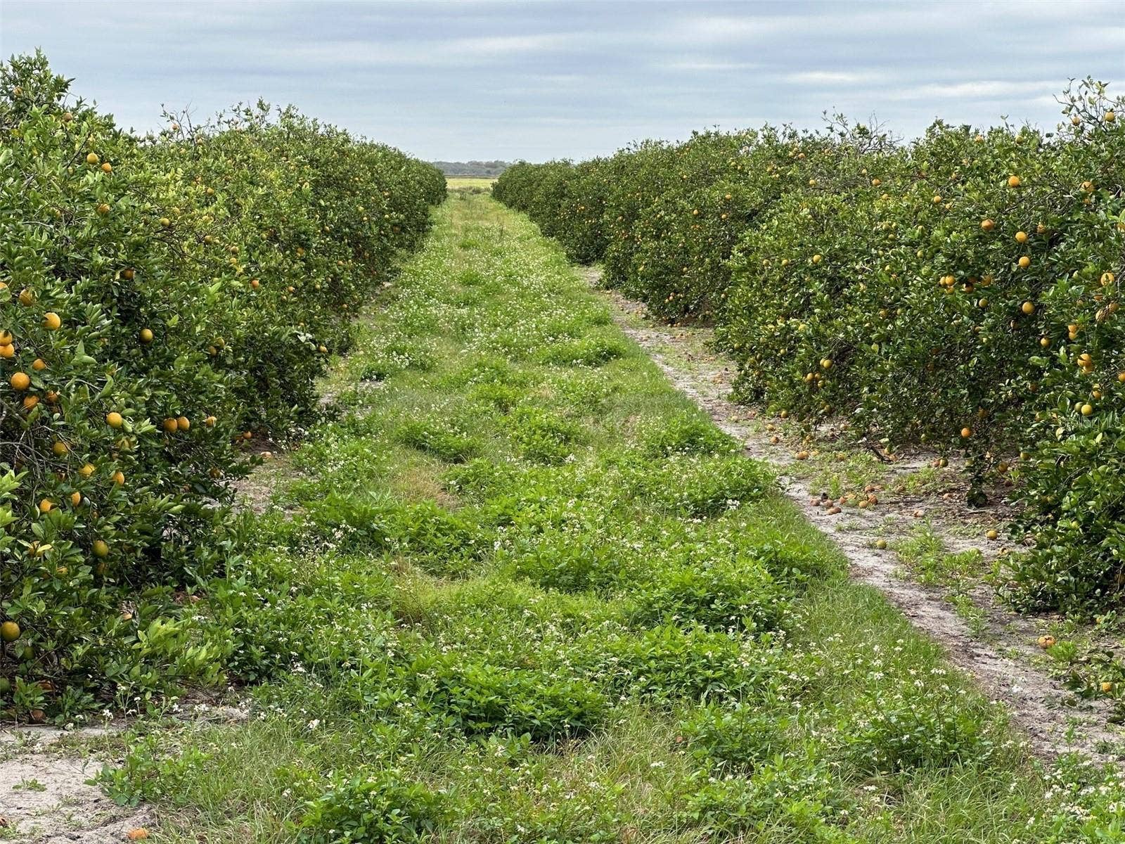 STATE RD 60, Okeechobee, FL 34972 STATE RD 60, Okeechobee, FL 34972