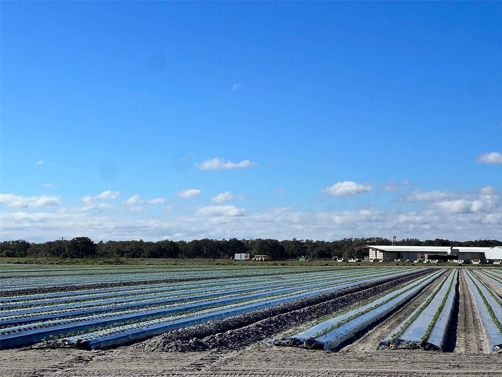 STATE RD 60, Okeechobee, FL 34972 STATE RD 60, Okeechobee, FL 34972