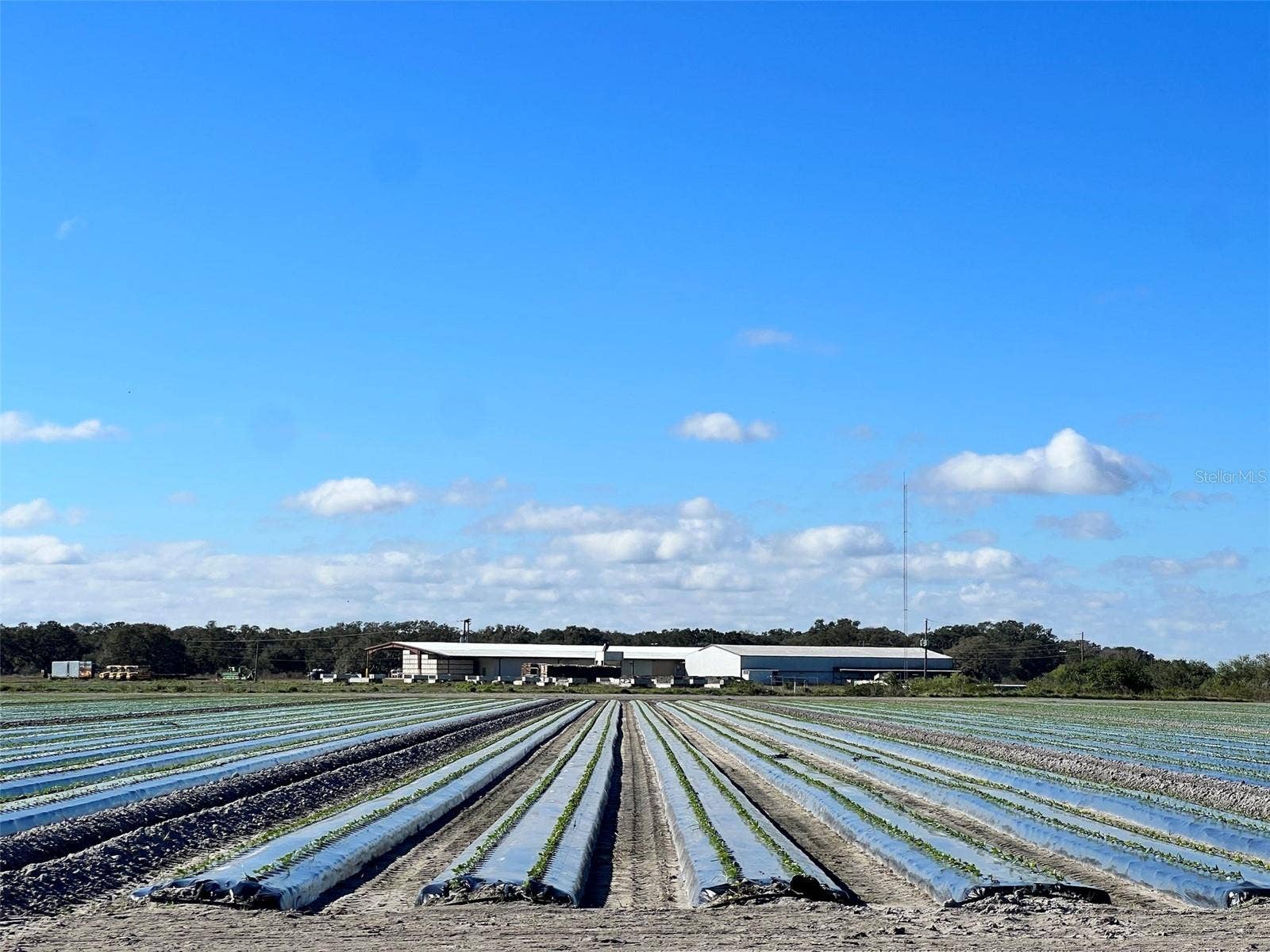 3851 W STATE ROAD 60, Okeechobee, FL 34972 3851 W STATE ROAD 60, Okeechobee, FL 34972