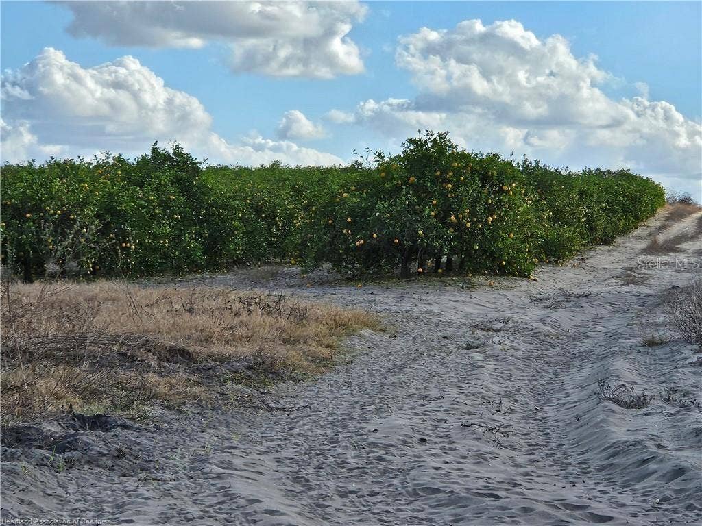 6611 SKIPPER ROAD, Sebring, FL 33876 6611 SKIPPER ROAD, Sebring, FL 33876
