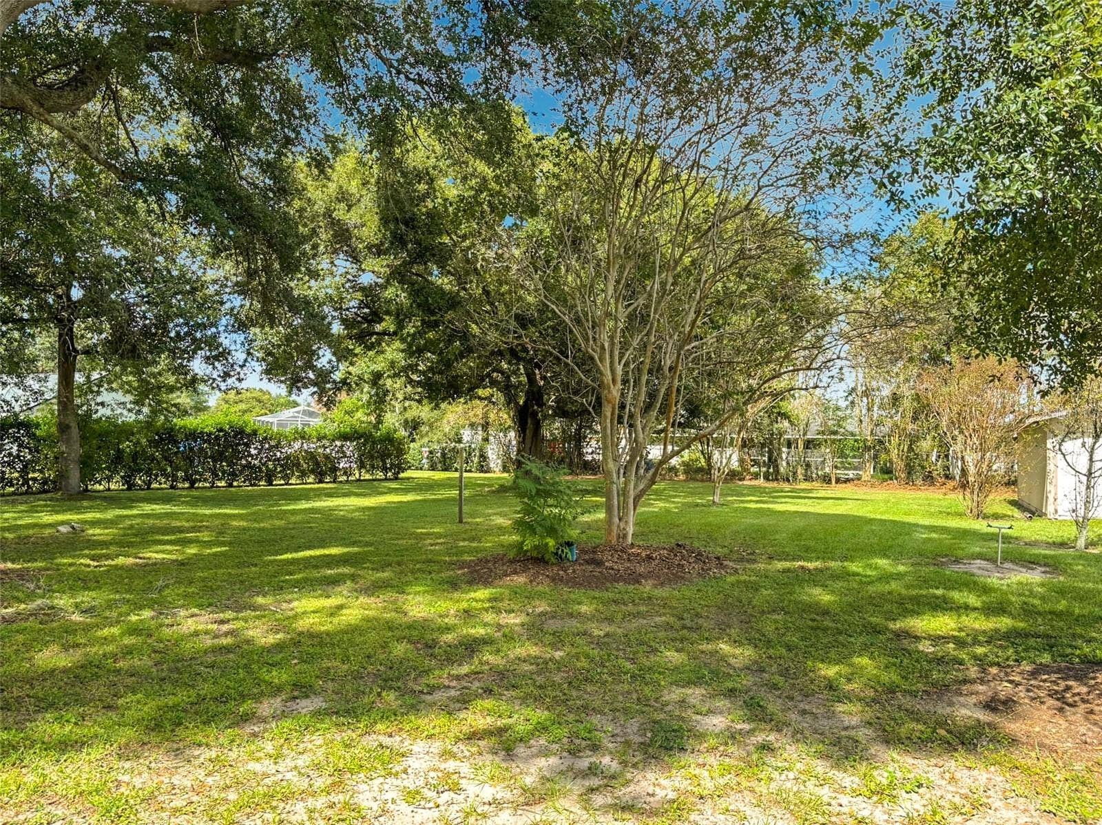 Back Yard