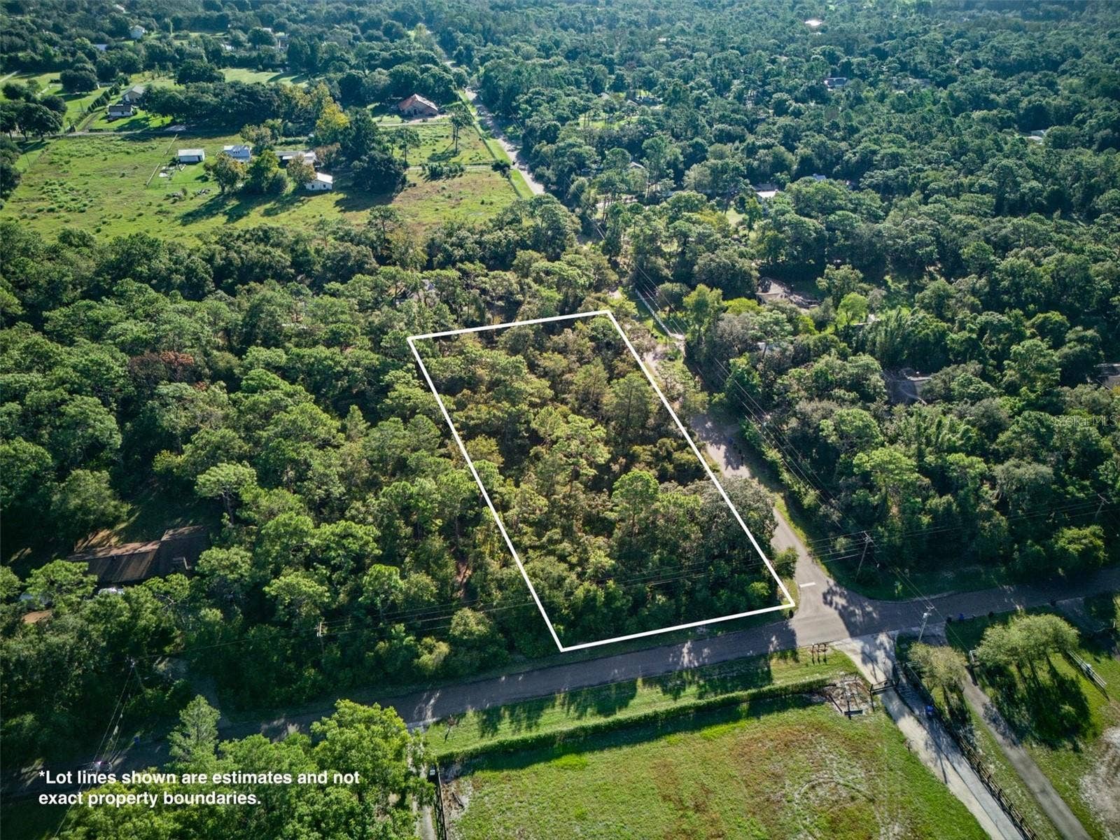 0 HIAWATHA ROAD, Odessa, FL 33556