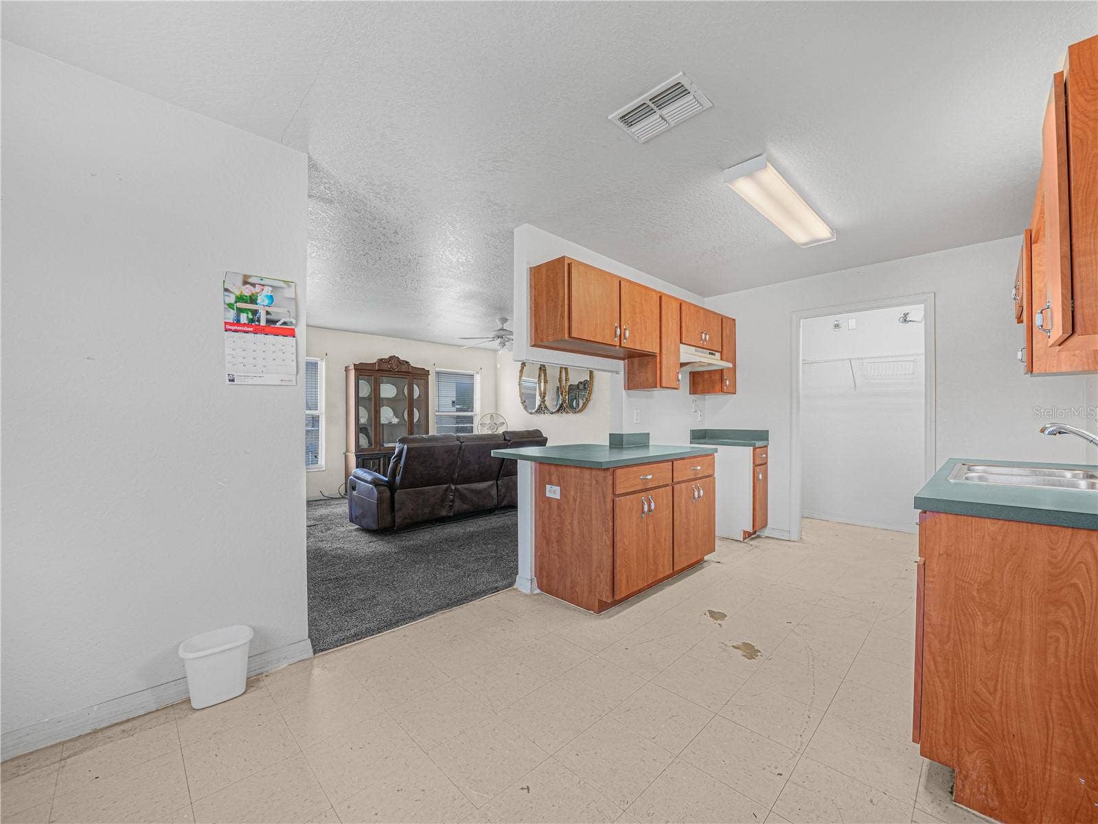 215 DORSETT AVENUE, Lake Wales, FL 33853