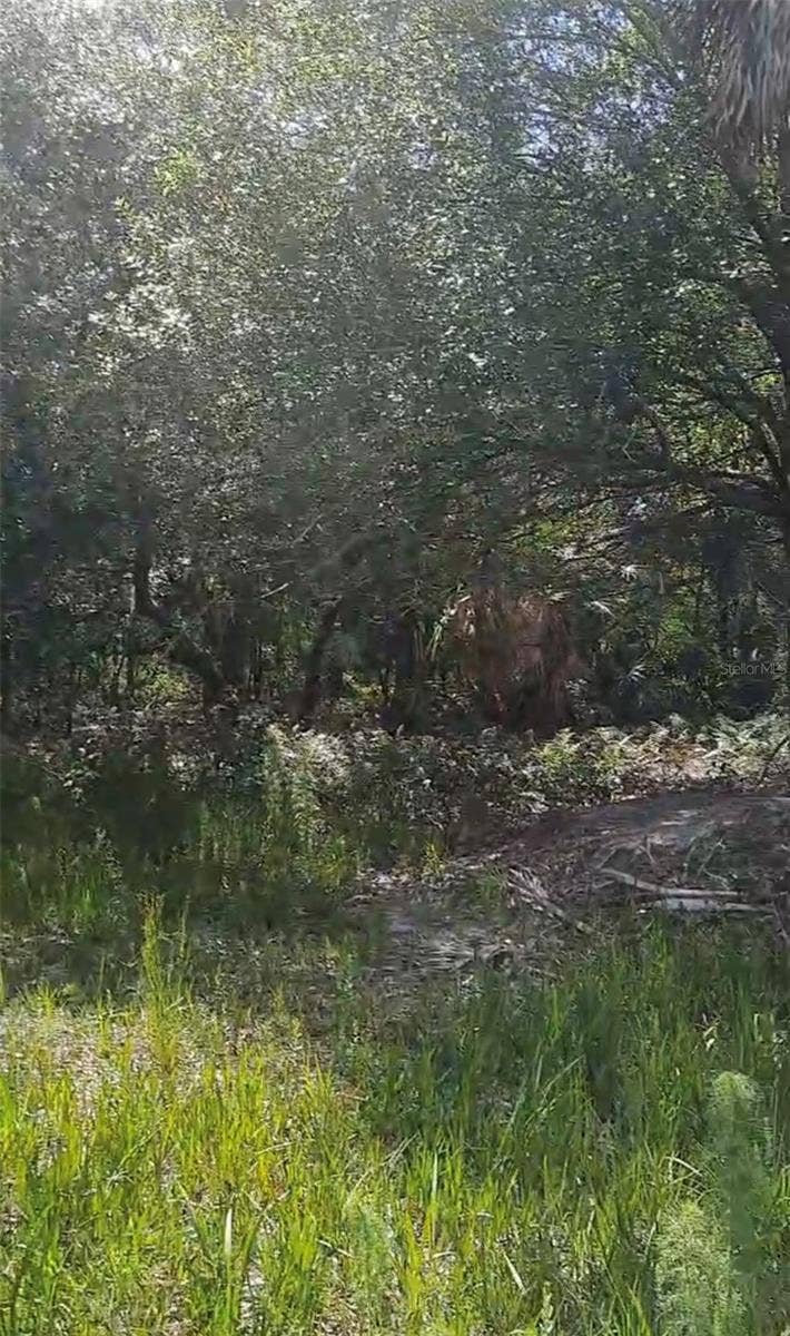 19527 NW 286TH STREET, Okeechobee, FL 34972 19527 NW 286TH STREET, Okeechobee, FL 34972