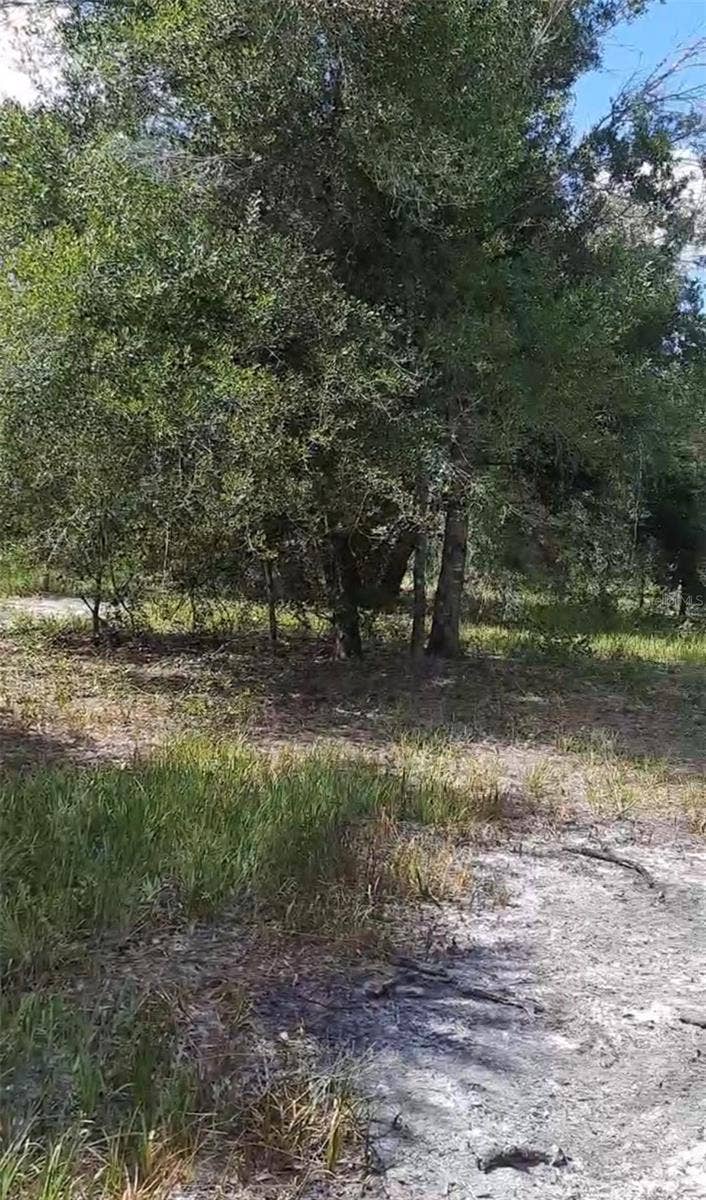 19527 NW 286TH STREET, Okeechobee, FL 34972 19527 NW 286TH STREET, Okeechobee, FL 34972