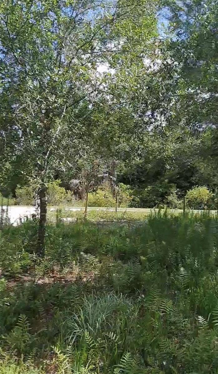 19527 NW 286TH STREET, Okeechobee, FL 34972 19527 NW 286TH STREET, Okeechobee, FL 34972
