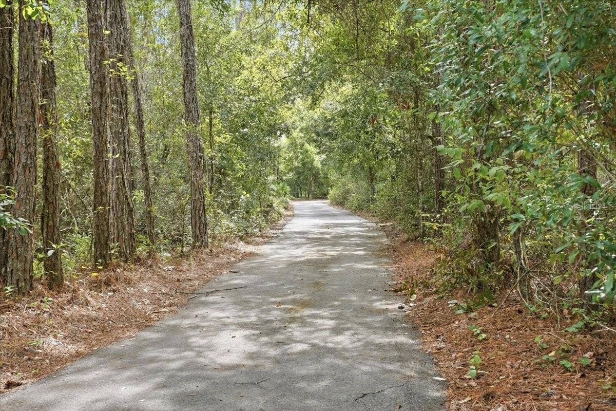 6815 CONLEY DRIVE, Polk City, FL 33868 6815 CONLEY DRIVE, Polk City, FL 33868