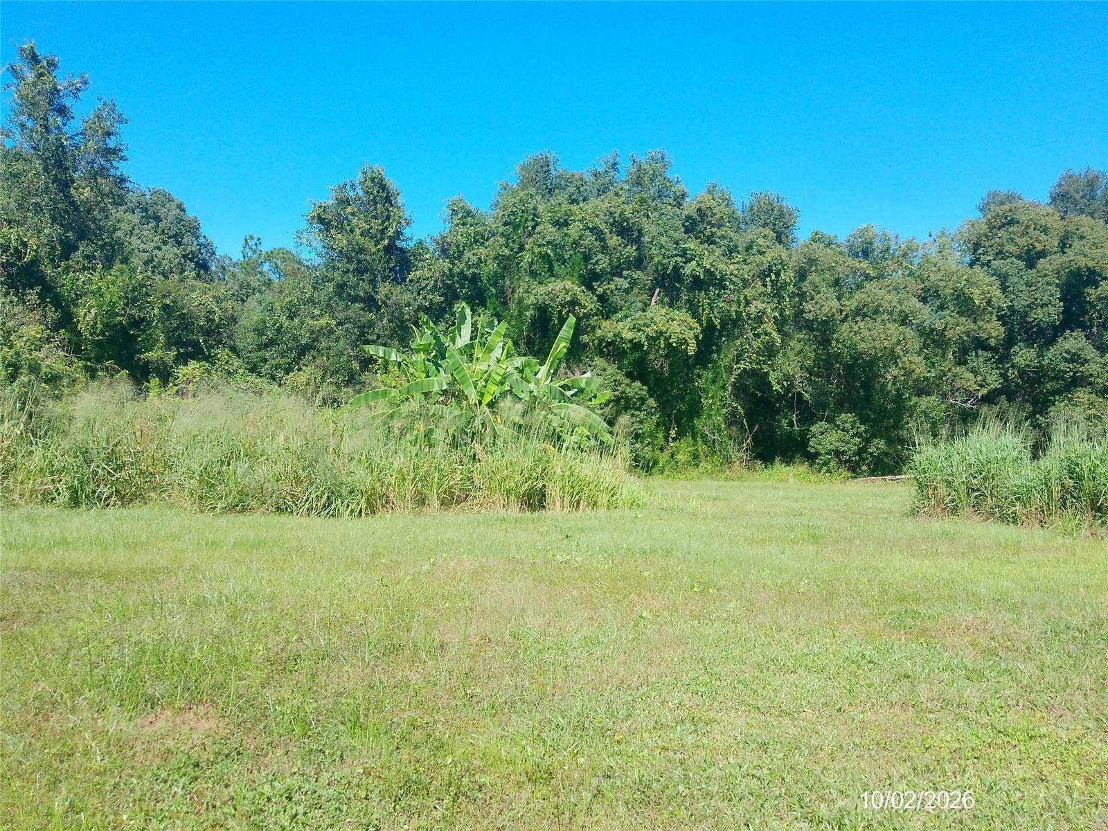 3130 TENOROC MINE ROAD, Lakeland, FL 33805 3130 TENOROC MINE ROAD, Lakeland, FL 33805