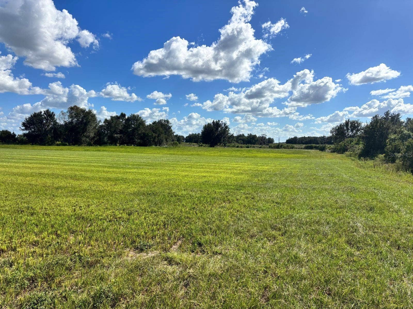 5171 SINGLETARY ROAD, Fort Meade, FL 33841 5171 SINGLETARY ROAD, Fort Meade, FL 33841