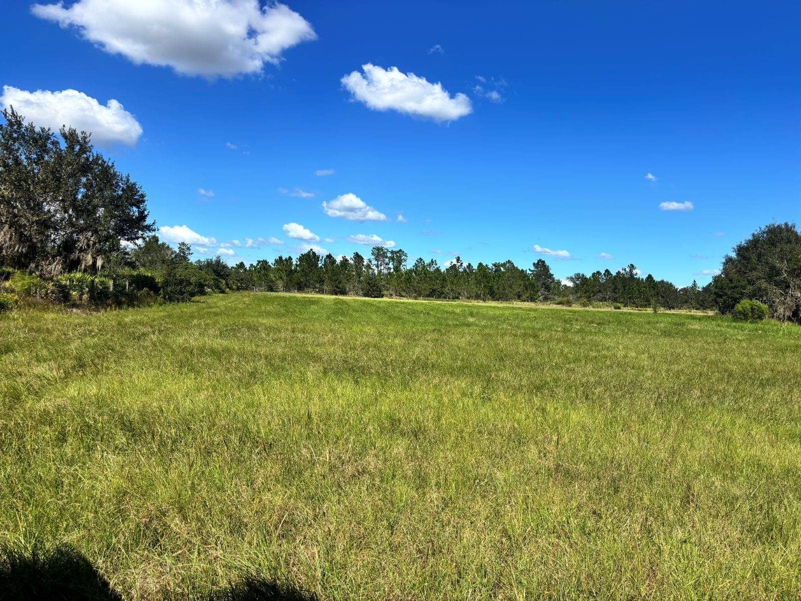 5171 SINGLETARY ROAD, Fort Meade, FL 33841 5171 SINGLETARY ROAD, Fort Meade, FL 33841