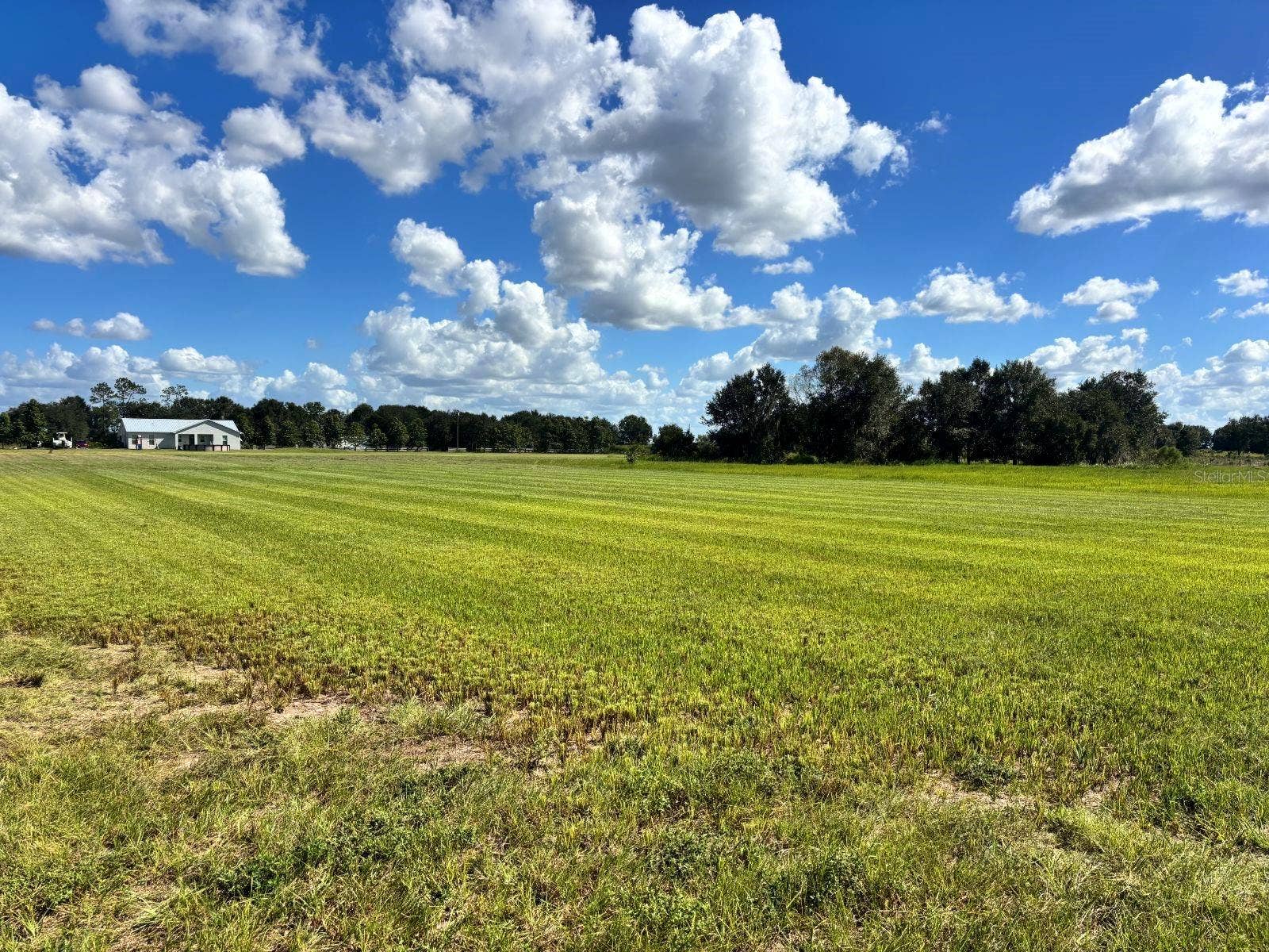 5171 SINGLETARY ROAD, Fort Meade, FL 33841 5171 SINGLETARY ROAD, Fort Meade, FL 33841