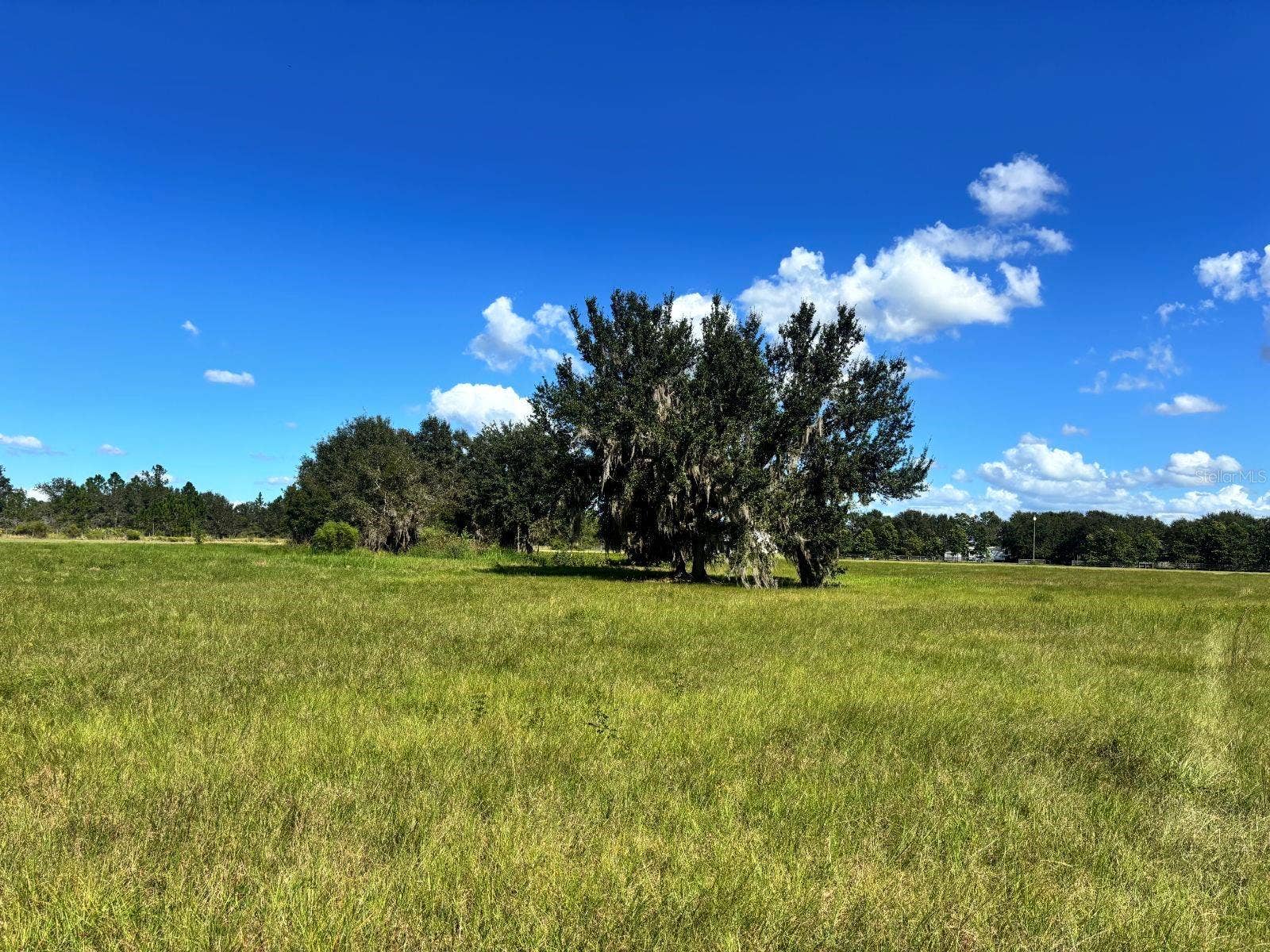 5171 SINGLETARY ROAD, Fort Meade, FL 33841 5171 SINGLETARY ROAD, Fort Meade, FL 33841