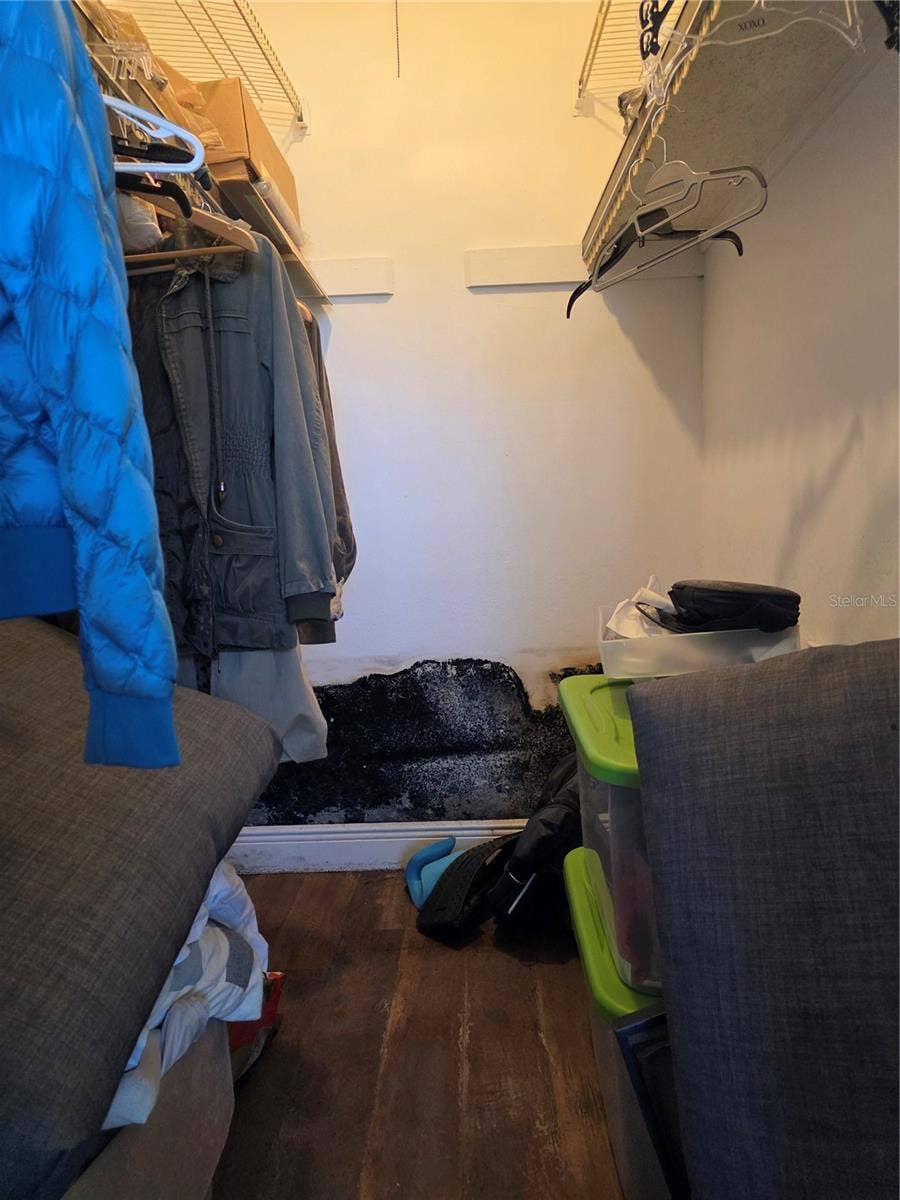 1920 E EDGEWOOD DRIVE, #A3, Lakeland, FL 33803 Mold Intrusion in Walk-in Closet