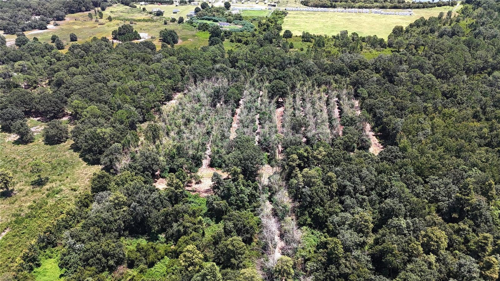 0 US HIGHWAY 27, Lake Wales, FL 33859 0 US HIGHWAY 27, Lake Wales, FL 33859