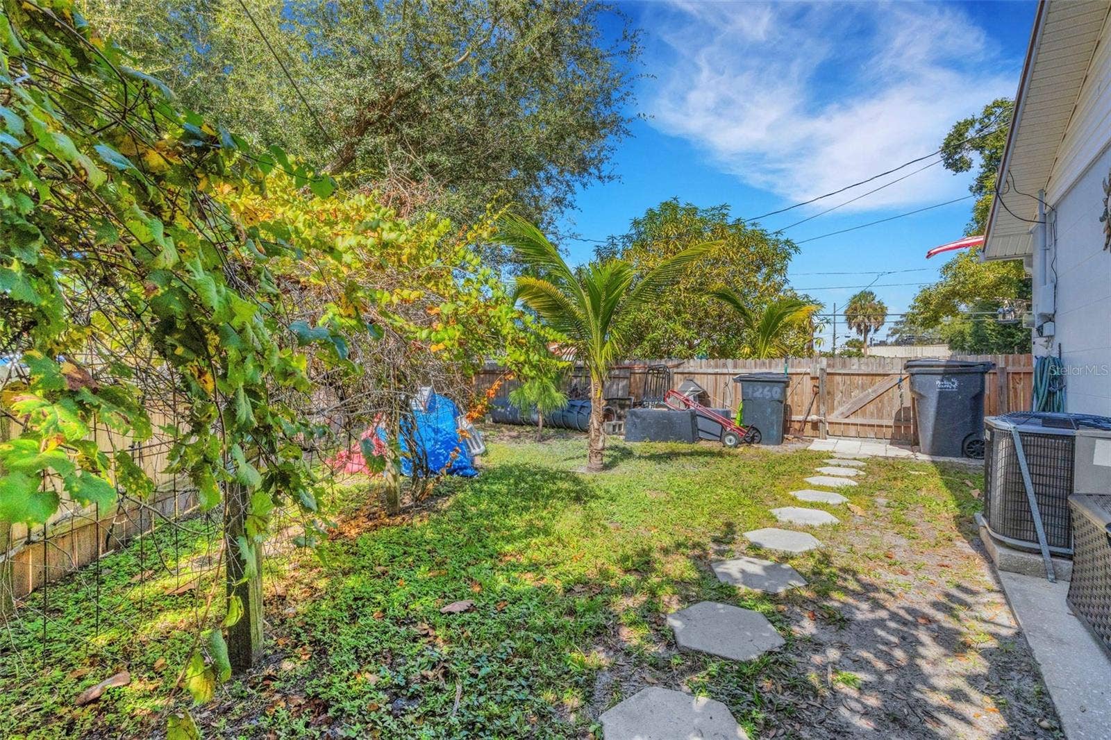 4260 53RD AVENUE N, St Petersburg, FL 33714 Fenced Side Yard with Grape Vines