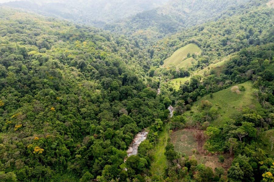 Property photo for 000 BAJO LOS INDIOS, Puntarenas, OC