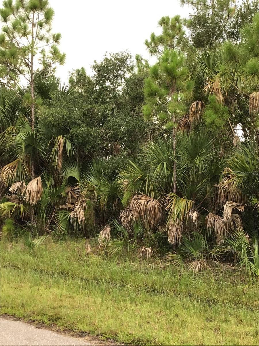 Property photo for 14202,m 14210,14218,14226 HYDRANGEA AVENUE, Port Charlotte, FL