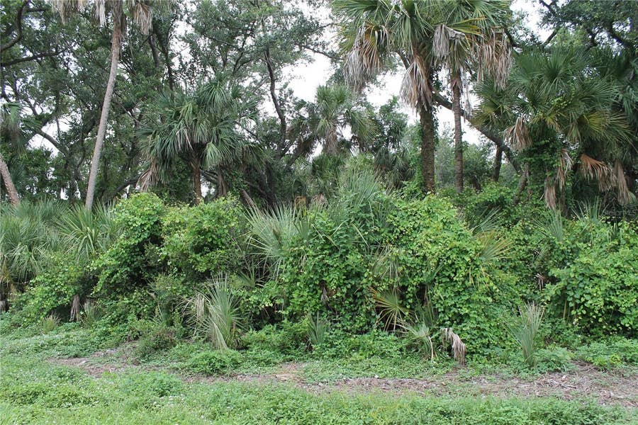 Property photo for 18106 SINATRA AVENUE, Port Charlotte, FL