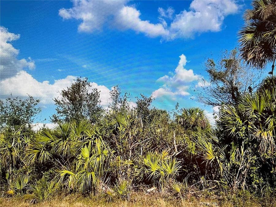 Property photo for 347 LAWLER STREET, Port Charlotte, FL