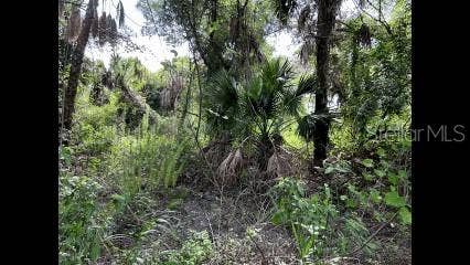Property photo for ALPEN AVENUE, North Port, FL