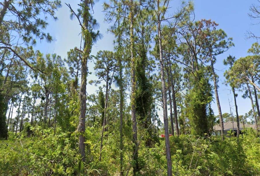 Property photo for 14209 NAYLOR AVENUE, Port Charlotte, FL