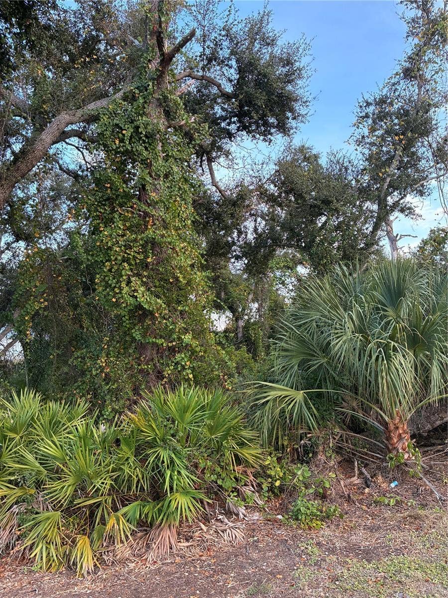 Property photo for MENDAVIA TERRACE, North Port, FL